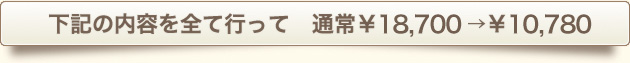 下記の内容を全て行って　通常￥18,700→￥10,780