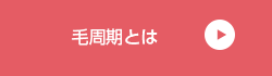 毛周期とは